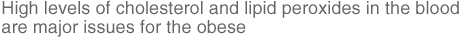 High levels of cholesterol and lipid peroxides in the blood are major issues for the obese