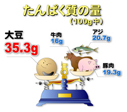 Soybeans are so rich in proteins they are called the �gMeat of the Fields�h