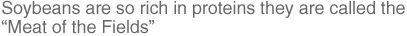 Soybeans are so rich in proteins they are called the �gMeat of the Fields�h