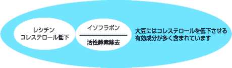 �哤�ɂ̓R���X�e���[����ቺ������L�������������܂܂�Ă��܂�