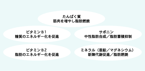 ����ς����A�r�^�~��B1�A�T�|�j���A�r�^�~��B2�A�~�l�����i����/�}�O�l�V�E���j