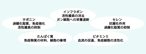 �K���\�h�E�}���x�X�g5