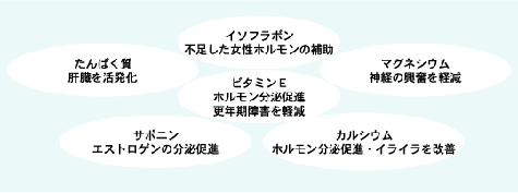 �X�N����Q�\�h�x�X�g6