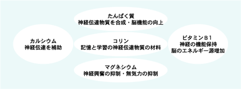 �L���E�W���̓x�X�g5