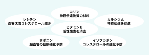 �V���E�ڂ��h�~�x�X�g6