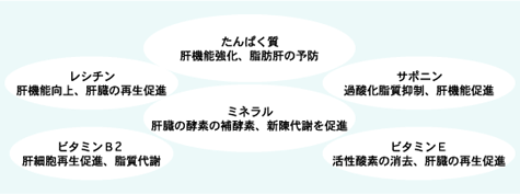 �̋@�\��Q�h�~�x�X�g6